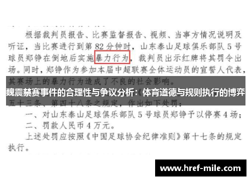 魏震禁赛事件的合理性与争议分析:体育道德与规则执行的博弈 魏震禁赛事件的合理性与争议分析:体育道德与规则执行的博弈