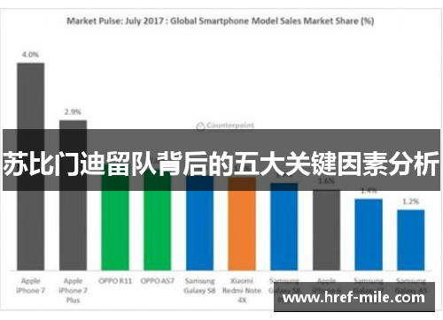 苏比门迪留队背后的五大关键因素分析