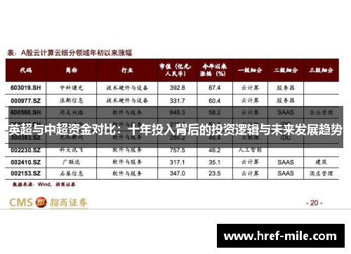 英超与中超资金对比:十年投入背后的投资逻辑与未来发展趋势 英超与中超资金对比:十年投入背后的投资逻辑与未来发展趋势