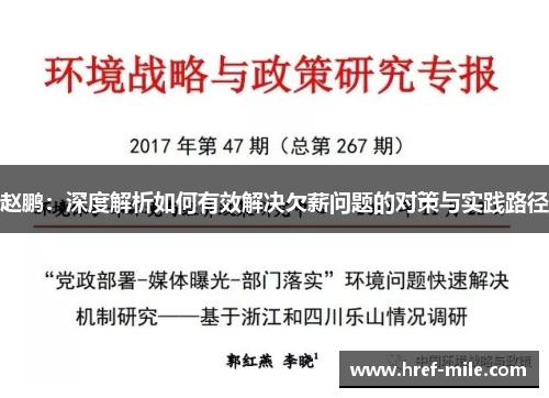 赵鹏：深度解析如何有效解决欠薪问题的对策与实践路径