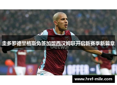 圭多罗德里格斯免签加盟西汉姆联开启新赛季新篇章