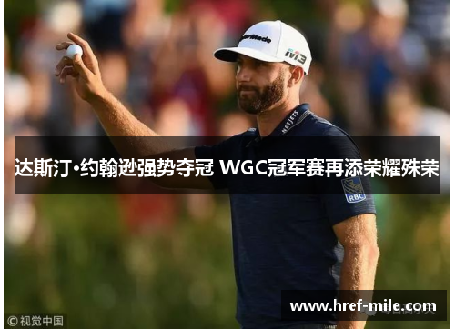 达斯汀·约翰逊强势夺冠 WGC冠军赛再添荣耀殊荣