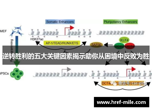 逆转胜利的五大关键因素揭示助你从困境中反败为胜