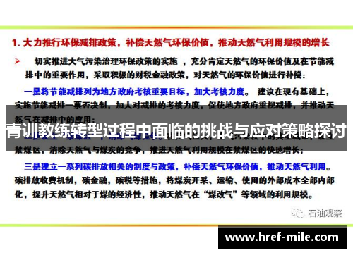 青训教练转型过程中面临的挑战与应对策略探讨