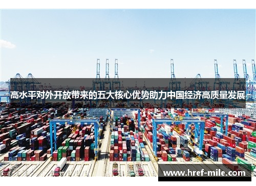 高水平对外开放带来的五大核心优势助力中国经济高质量发展 高水平对外开放带来的五大核心优势助力中国经济高质量发展